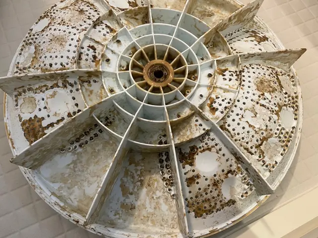 ≪営業時間外も対応可≫毎日のお洗濯...ぜひ、カビひとつない洗濯機で！サービスの画像