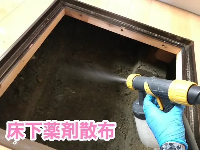 【害虫駆除　金賞受賞店舗】☆クチコミ数全国1位！☆床下薬剤散布！ぼったくり撲滅！サービスの画像