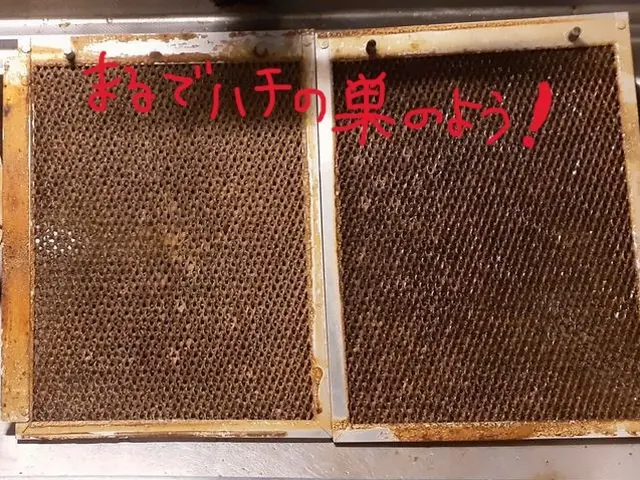 多数のご利用大感謝！油ギトギトの換気扇、モノであふれる台所をスッキリ♪サービスの画像