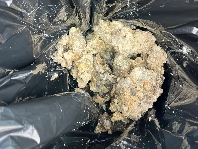 管内カメラでのチェックも行います！経験と知識を活かして迅速丁寧に作業いたします！サービスの画像