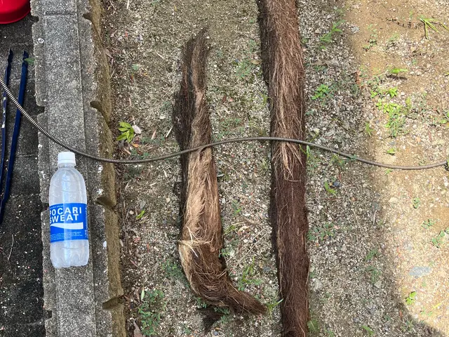 管内カメラでのチェックも行います！経験と知識を活かして迅速丁寧に作業いたします！サービスの画像