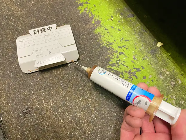 【業歴25年•実績8000件超】害虫によるお店のリスク管理はお任せください！！サービスの画像