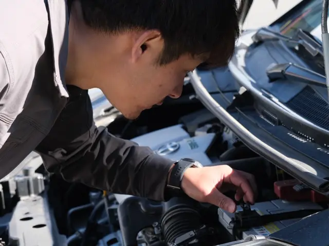 大手ディーラー整備士経験8年【国家２級自動車整備士】上質な仕上がりをお届けしますサービスの画像