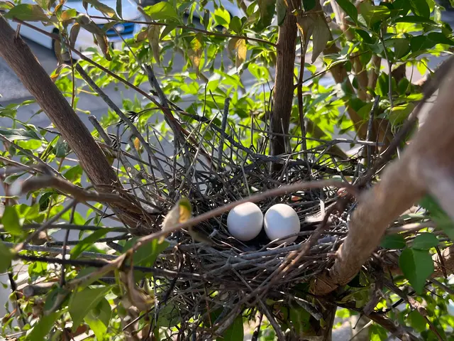 外注一切無★損害保険加入済★駐車場代店負担サービスの画像