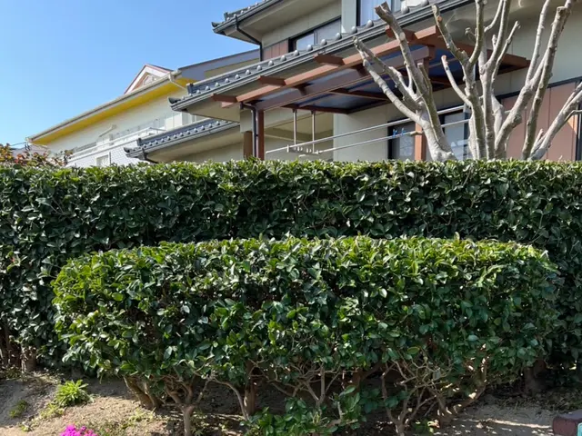 【庭木の剪定・生垣の剪定はお任せください！】サービスの画像