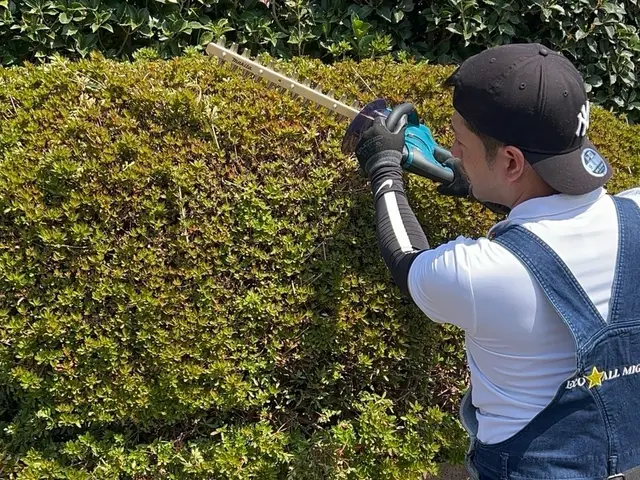 【庭木の剪定・生垣の剪定はお任せください！】サービスの画像