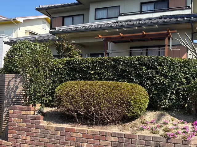 【庭木の剪定・生垣の剪定はお任せください！】サービスの画像