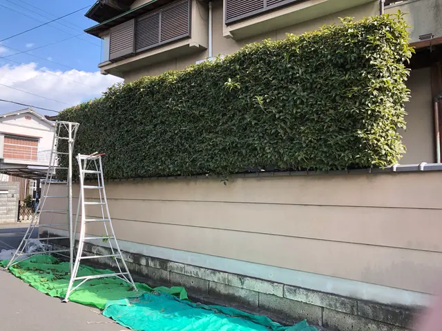 庭木の手入れはお任せ下さい！業歴30年の知識と技術！！サービスの画像