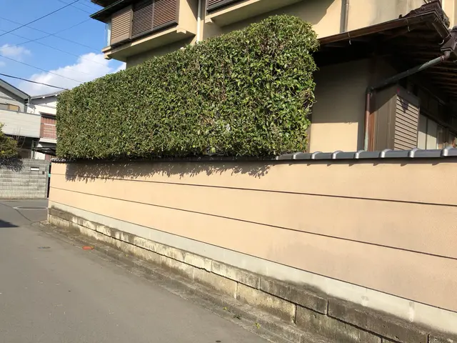 庭木の手入れはお任せ下さい！業歴30年の知識と技術！！サービスの画像