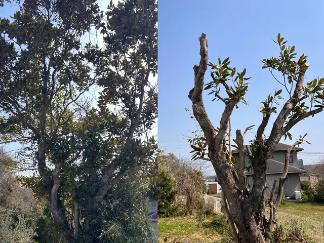 プロの技術でご満足いただけるように心を込めて作業いたしますサービスの画像