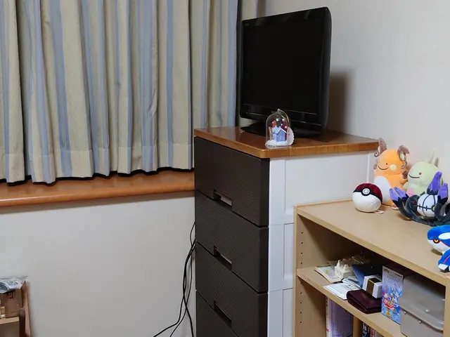 無理な断捨離は、させません(^^)丁寧なサービスを提供する為に【1日1件限定！】サービスの画像