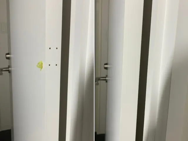 迅速な対応◎ 室内ドア 確かな技術で傷を無かったことに！交換よりも短時間低コストサービスの画像