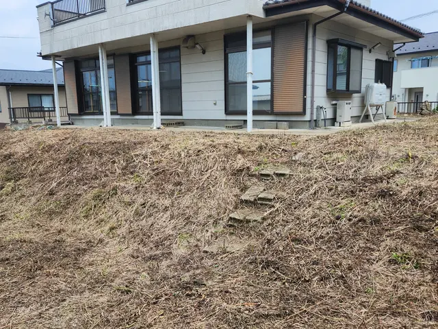 庭木、私有地の伐採、お任せ下さい！サービスの画像