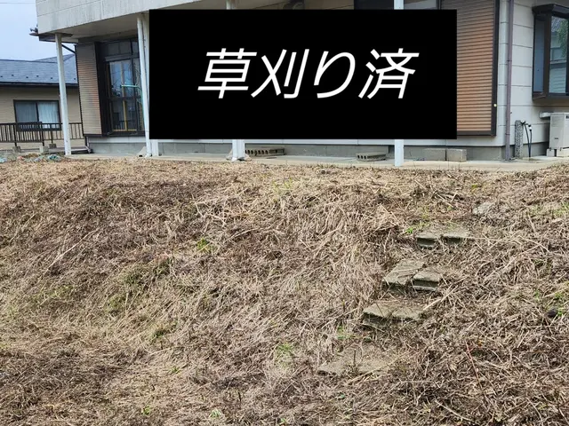 庭木、私有地の伐採、お任せ下さい！サービスの画像