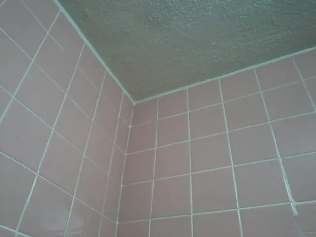 気になる汚れ黒カビを徹底除去！4月作業限定キャンペーン12000円受付中！サービスの画像