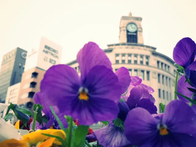 ブライダル・ポートレート・家族写真などあらゆるご希望のシーンの撮影が可能！！