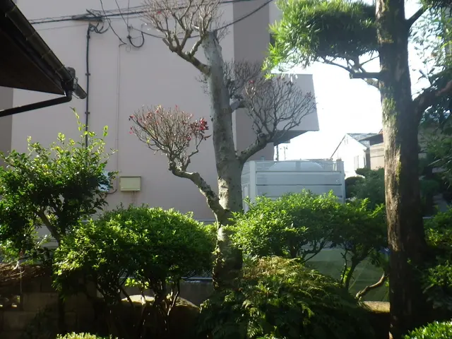 【業界19年！100％自社対応！】豊富な知識・経験を活かしてご対応いたします！サービスの画像