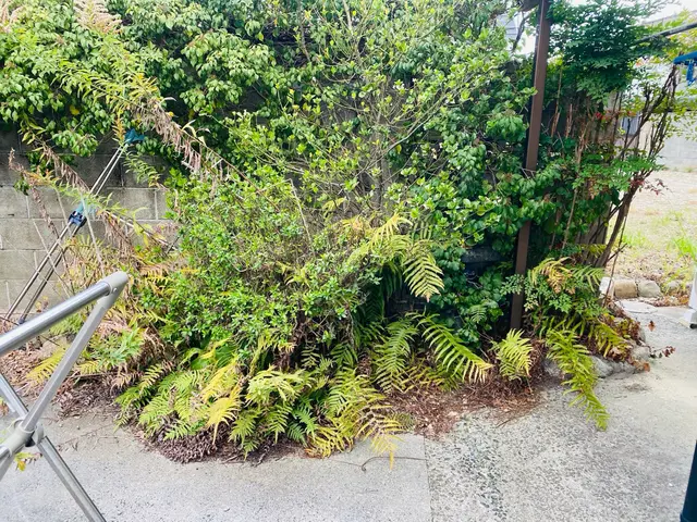 100件以上の実績！納得いくまでとことん丁寧に仕上げますサービスの画像