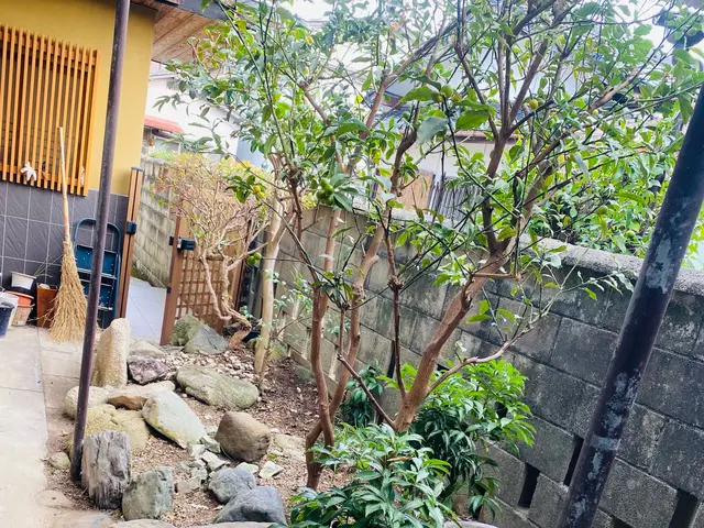 100件以上の実績！納得いくまでとことん丁寧に仕上げますサービスの画像