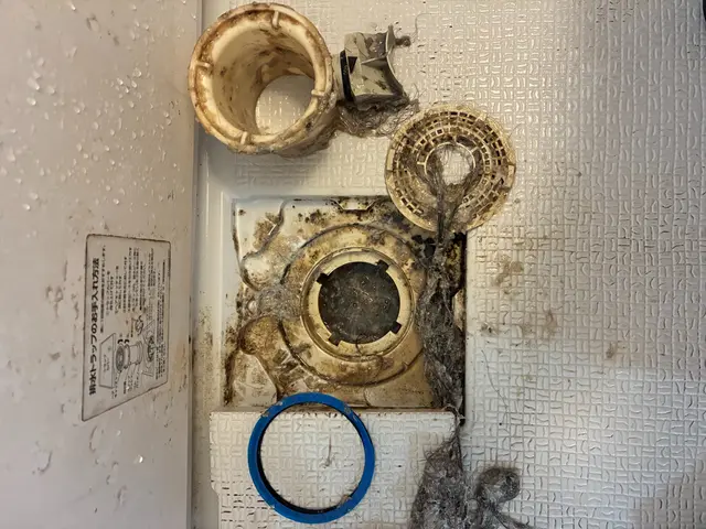 一戸建て排水管高圧洗浄・外周マスから室内まで徹底洗浄！ニオイ・詰まり防止にも最適サービスの画像