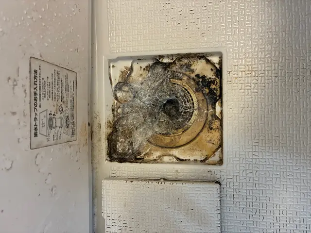 一戸建て排水管高圧洗浄・外周マスから室内まで徹底洗浄！ニオイ・詰まり防止にも最適サービスの画像