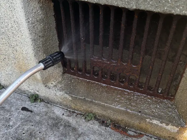 ☆新春キャンペーン料金50%オフ☆『虫バリア付き』【害虫駆除/ムカデ】サービスの画像