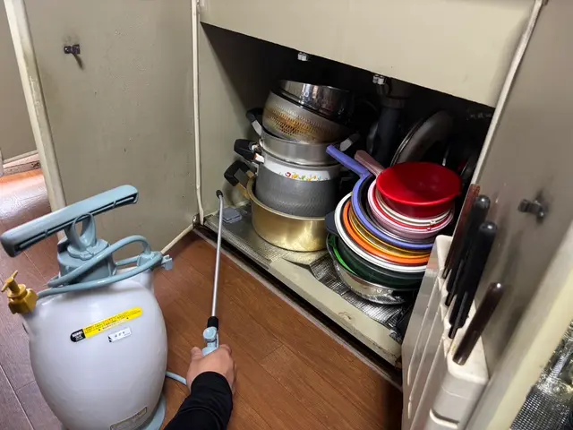 ☆新春キャンペーン料金50%オフ☆『虫バリア付き』【害虫駆除/ムカデ】サービスの画像