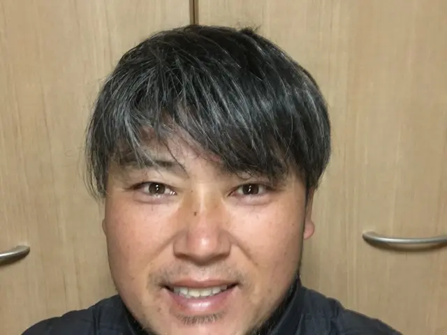 高木の強剪定、伐採、抜根サービスの画像