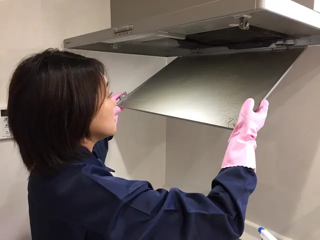 換気扇の頑固な油汚れを内部までぴかぴかに真心込めて掃除します！サービスの画像