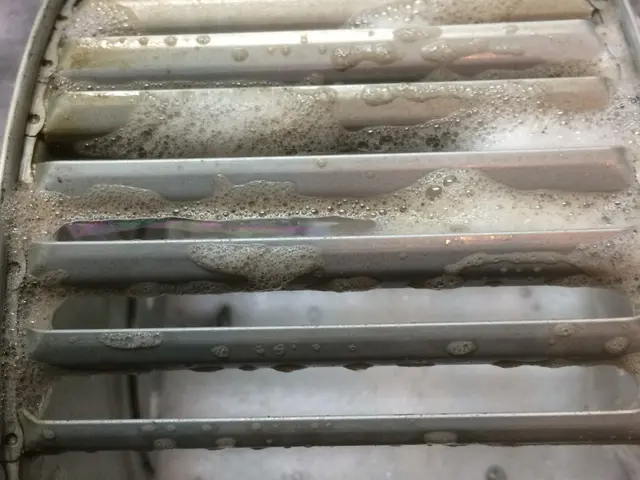 換気扇の頑固な油汚れを内部までぴかぴかに真心込めて掃除します！サービスの画像