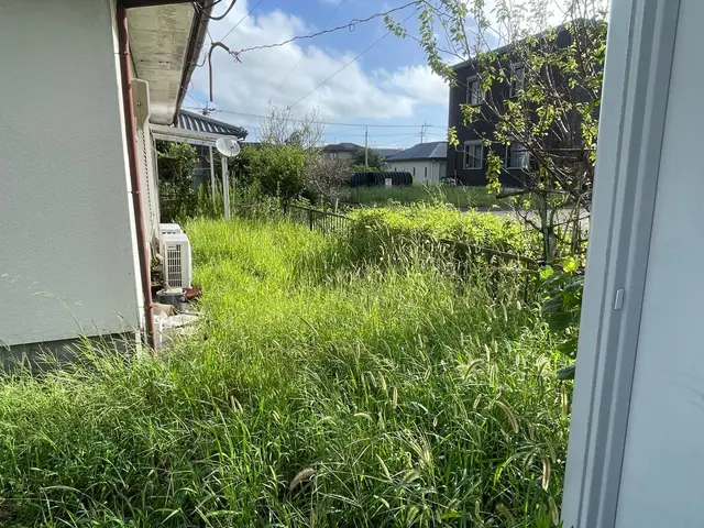 1㎡¥200〜！200㎡以上の敷地はご相談ください。地際刈りでキレイサッパリ！サービスの画像