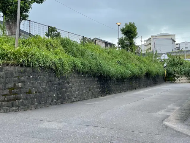 1㎡¥200〜！200㎡以上の敷地はご相談ください。地際刈りでキレイサッパリ！サービスの画像