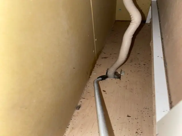 ゴキブリ駆除サービスの画像