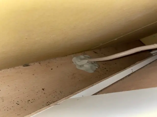 ゴキブリ駆除サービスの画像