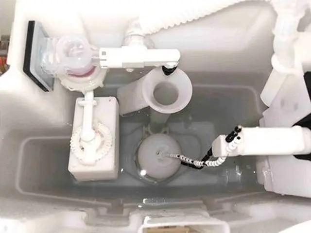 【100%自社対応】女性スタッフの同行可能◆駐車場代お店負担◎損害保険加入済み！サービスの画像