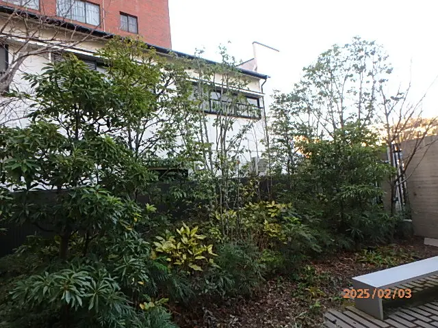 ◆◇2月新規出店◇◆40年の実績！3代目がお伺いし熟練の技でお庭を美しく剪定◎サービスの画像