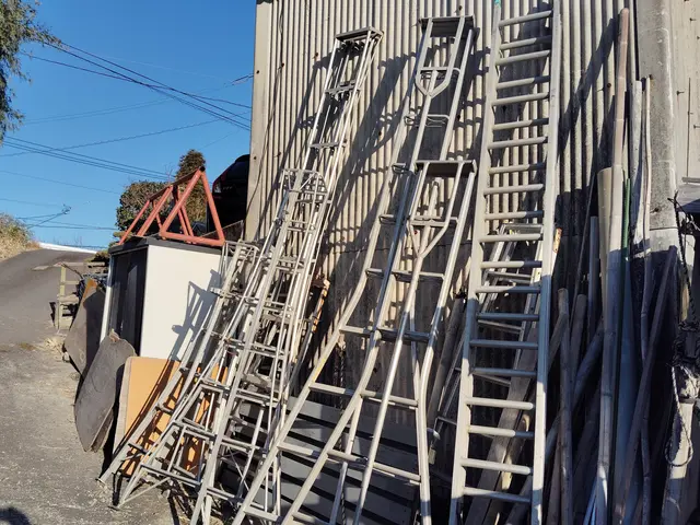 ◆◇2月新規出店◇◆40年の実績！3代目がお伺いし熟練の技でお庭を美しく剪定◎サービスの画像