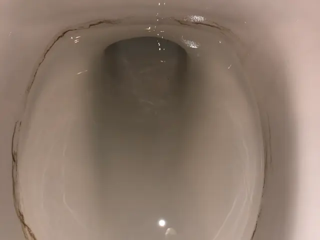 【東京・千葉・埼玉】追加料金無し《損害保険◎》PayPay◎クレカ◎サービスの画像