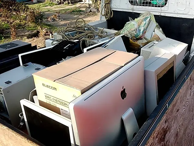 軽トラパック(詰め放題）サービスの画像