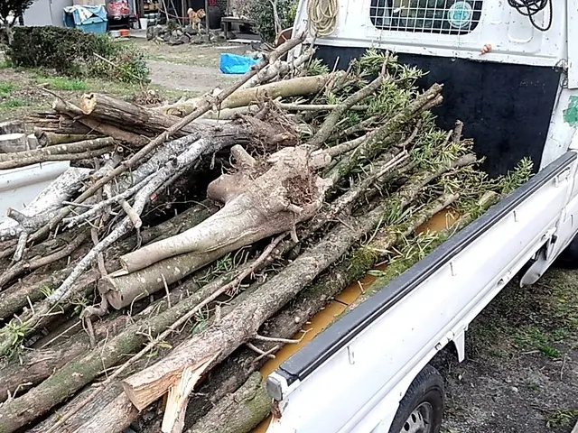 軽トラパック(詰め放題）サービスの画像