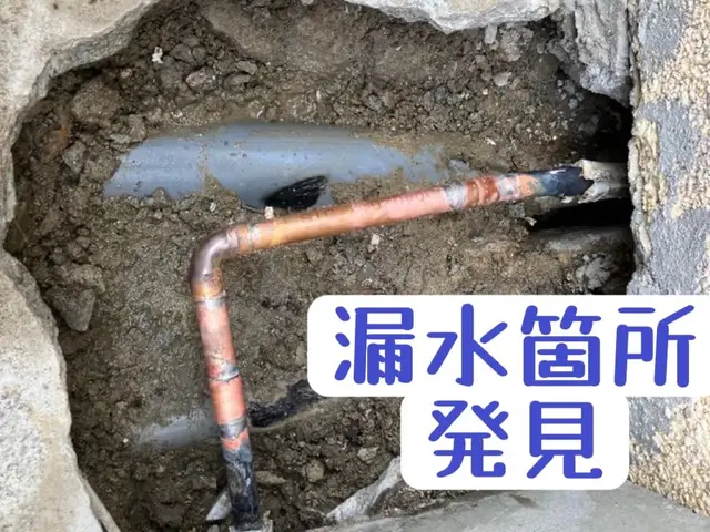 12年の実績と安心保証【女性スタッフ同行OK】丁寧作業・明朗会計で選ばれていますサービスの画像