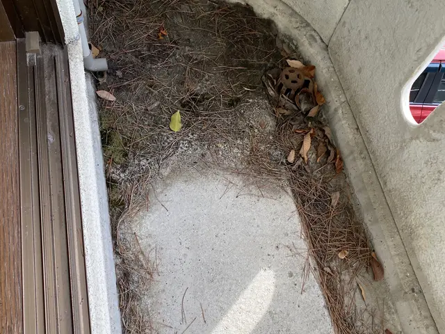 ベランダ、バルコニーをキレイに洗浄します。一般的1Rマンション程度の広さからサービスの画像