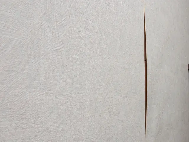 【職人歴34年の実績】壁紙の傷(ペットの引っ掻きキズ)・めくれ・凹みもお任せ！サービスの画像
