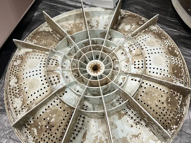 臭い・洗濯後の黒い汚れカス改善！安心の電気工事士資格サービスの画像