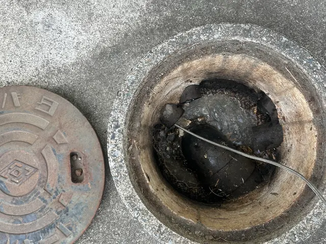 緊急時対応可能　24時間対応可能　優しく丁寧をモットーに　15年の経験サービスの画像