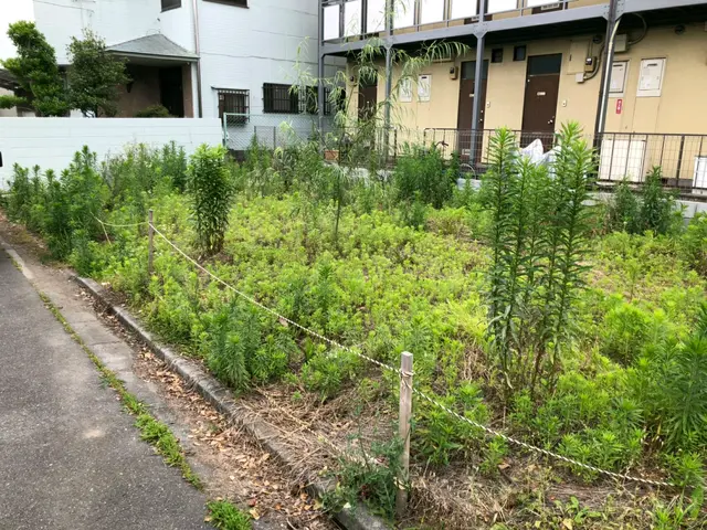 【職人歴10年以上の経験】◆年中無休◆駐車代お店負担◆損害保険加入店◆サービスの画像