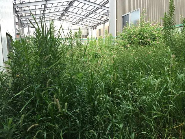 【年中無休！】個人宅メインにしている会社ですので安心してお任せください！！サービスの画像