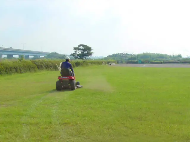 創業50年歴史ある造園業者(駐車場代店負担/女性スタッフ同行可/保険加入済)サービスの画像