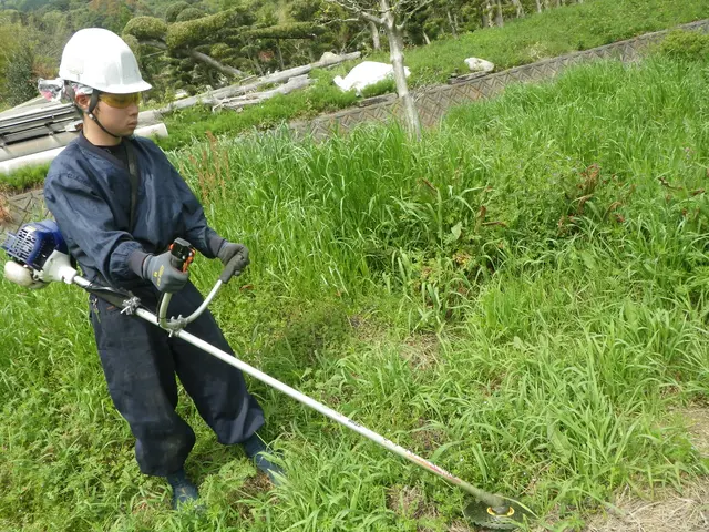 創業50年歴史ある造園業者(駐車場代店負担/女性スタッフ同行可/保険加入済)サービスの画像