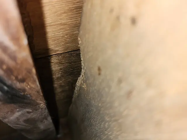 厄介なネズミは弊社の定額プランで安価に確実に対策をしましょう！サービスの画像